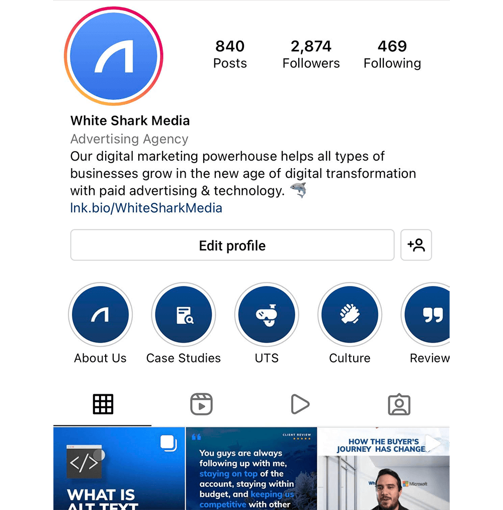white shark media Instagram profile